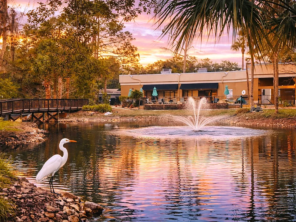 Stonebrook