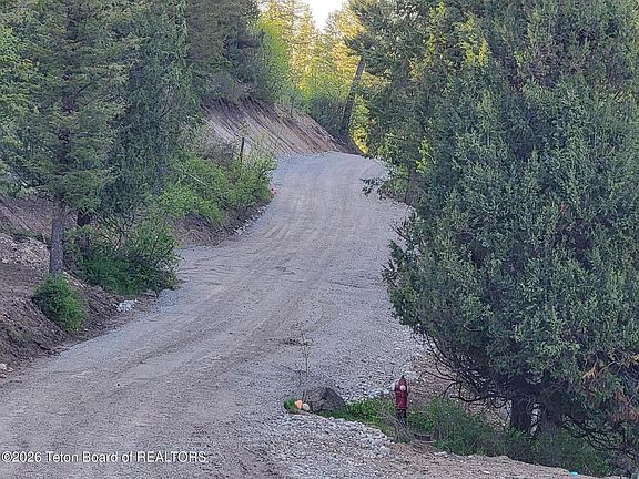 5th image of L39b4 Cutthroat Run