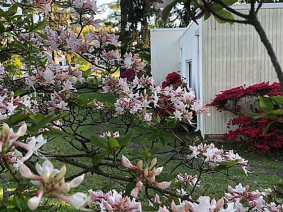 2nd image of 26 Montgomery Pkwy