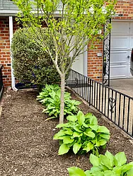 Rented by Halvatzis Realty