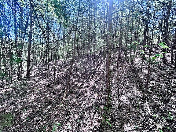 4th image of 160 McGaha Rd
