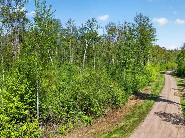 Lot 40 Horse Creek Trail, Ojibwa, WI 54862