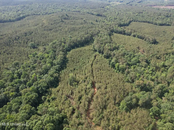 Tom Mans Rd, Vaiden, MS 39176