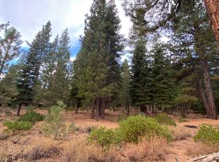 111 Dave Dysart, Truckee, CA 96161