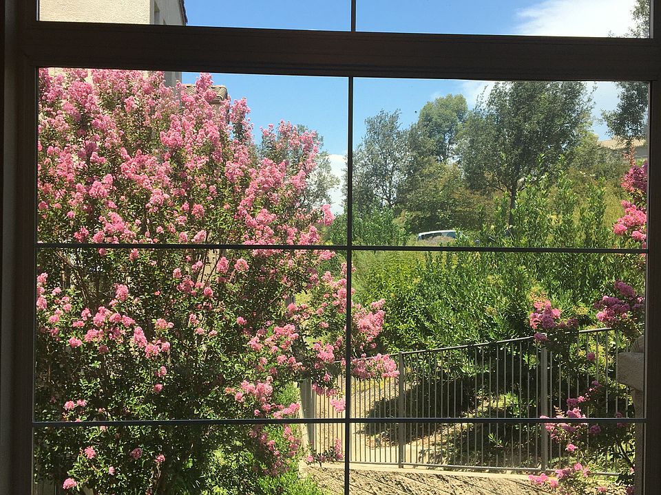 Beautiful summer hillside view