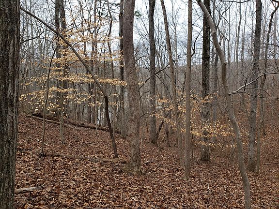 4th image of 16 Woodridge Trl