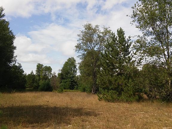 3rd image of 1448 Badgley Road 40 Acres