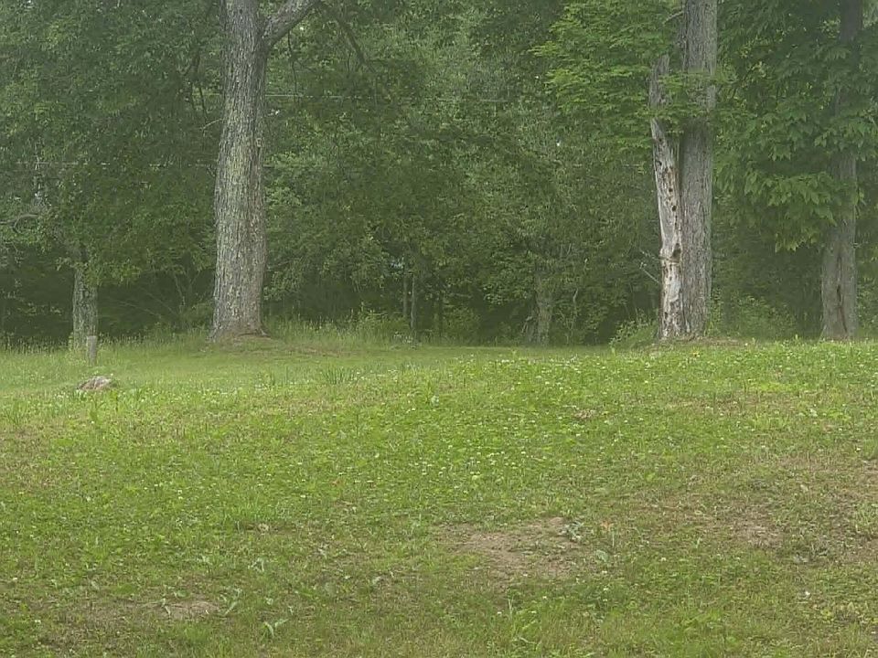 7th image of 455 Jettsville Rd