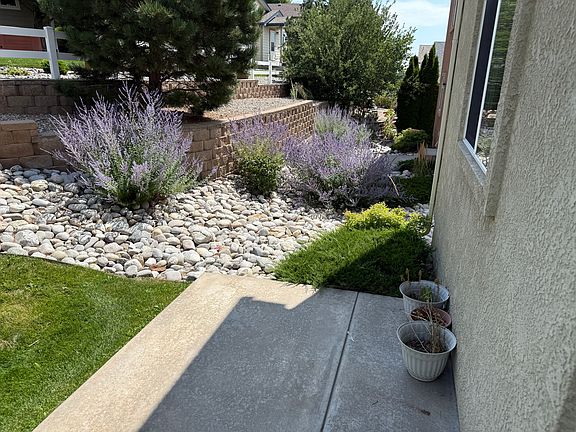 Backyard 2