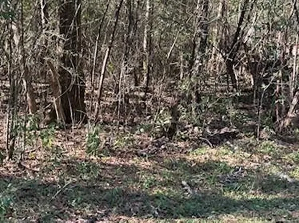 0 Cary Hamilton Rd, Theodore, AL 36582