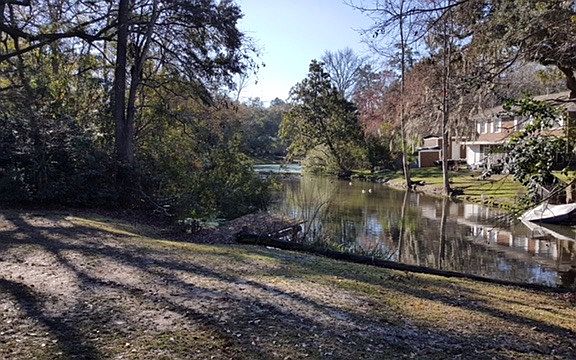backyard view to pond