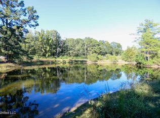 1153 Owens Rd, Terry, MS 39170