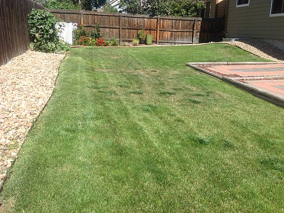 B/yard w/ sprinkler system