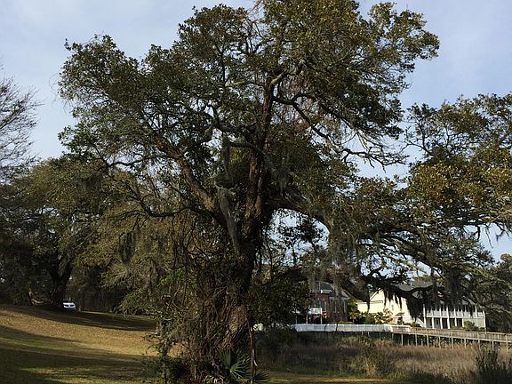 4th image of Lot 15 Shoreline Drive W LOT 15