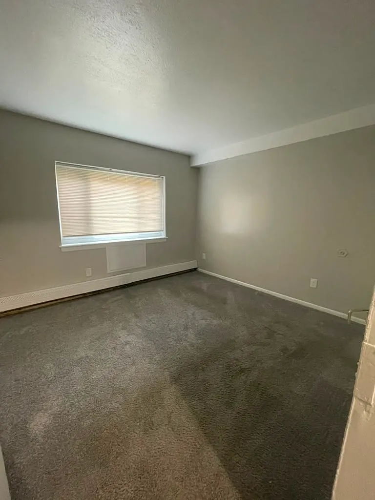 1 bed, $1,200 — Photo 4