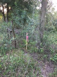 Naples Ave, Clewiston, FL, 33440