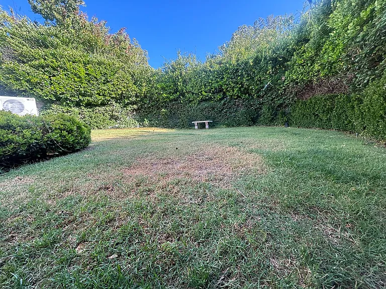 25321 Bowie Ct — Photo 14
