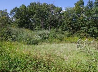 119 Ray Gray Ln, Troy, MO 63379