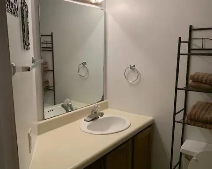 SPACIOUS BATHROOM/TUB/SHOWER.