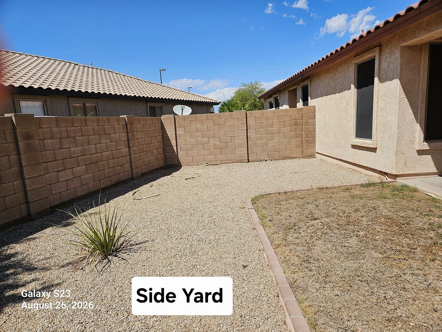Great Gilbert location — Photo 3
