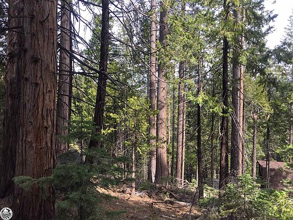 4th image of Yuba Ct Lot 507
