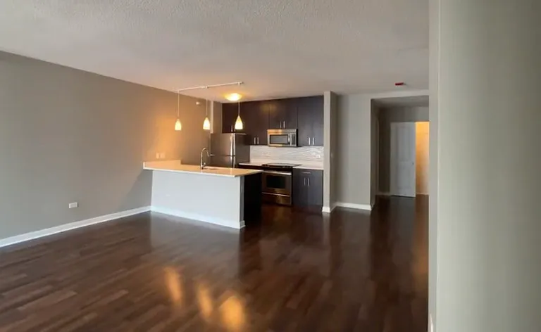 739 N Wabash Ave #700 — Photo 4
