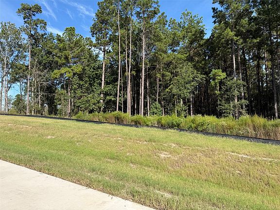 4th image of 99 Pine Timber Dr