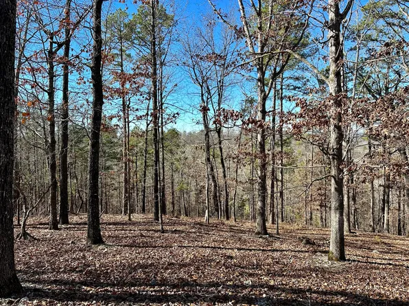 000 D Highway, Van Buren, MO 63965