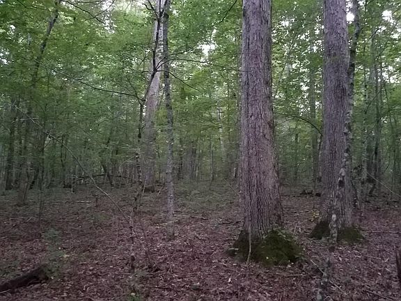 4th image of 0 McFarlin Ln