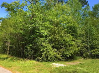 0 Walnut Dr, Pearlington, MS 39572