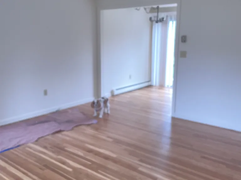 View from living room back into dining area. Landlord's dog