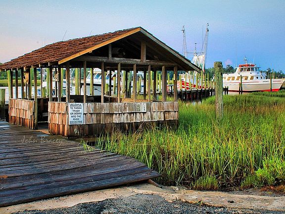 Photo credit: calabash John 