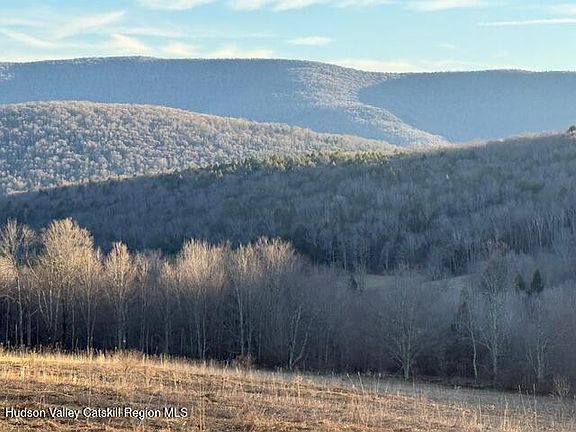 4th image of Tbd Hogg Mountain Road