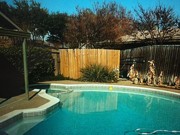 Beautiful pool and Spa