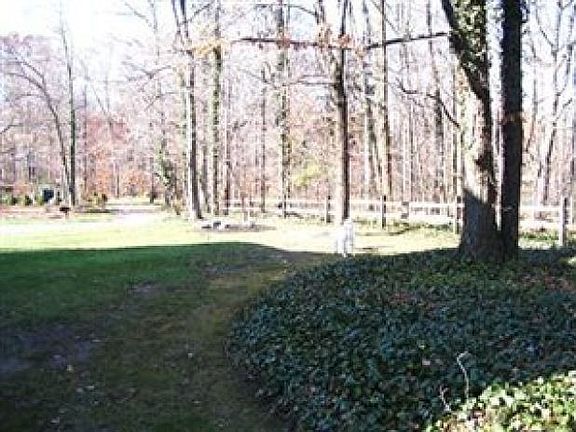 5th image of 5319 Rustic Hills Dr
