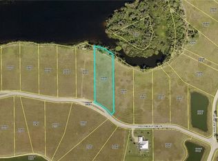 22833 Yellow Button Ln, Alva, FL 33920