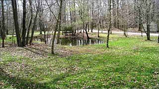 2nd image of Park Dr