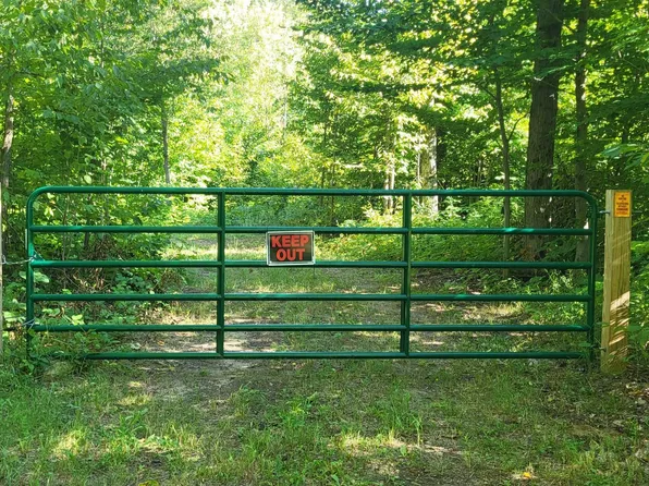 Tbd Bocook Rd, Mancelona, MI 49659