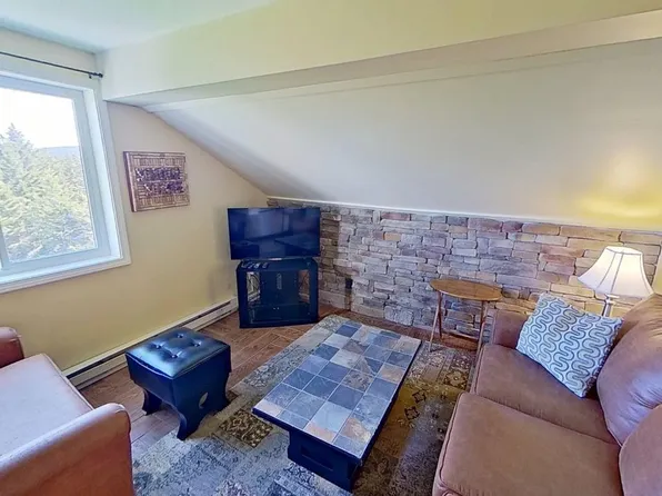 369 Mountain Ldg, Snowshoe, WV 26209