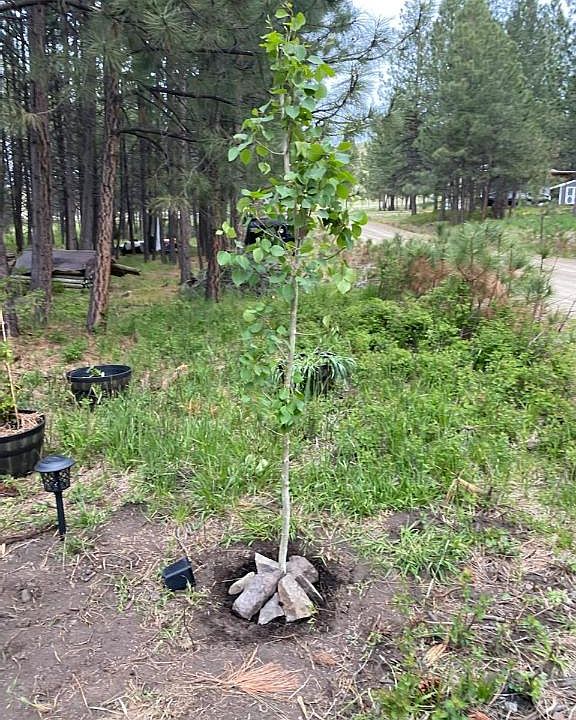 6 Skunk Alley Ln, Hot Springs, MT 59845 MLS 22214416 Zillow