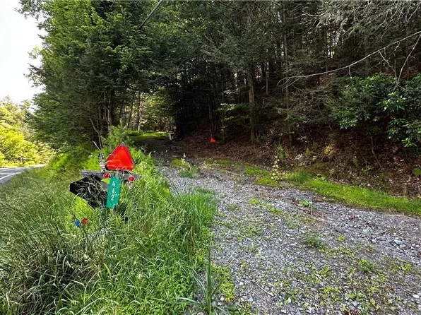 Ward Brower Jr Dr   Lot 15-2, Barryville, NY 12719