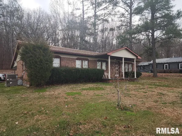 225 S Chestnut St, Pulaski, IL 62976