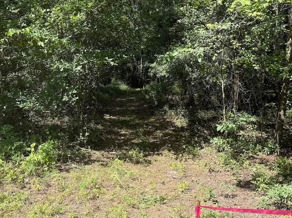 1 Parkers Ferry Rd, Adams Run, SC 29426