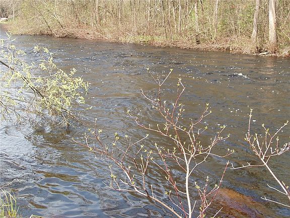 4th image of N13923 Divine Rapids Road