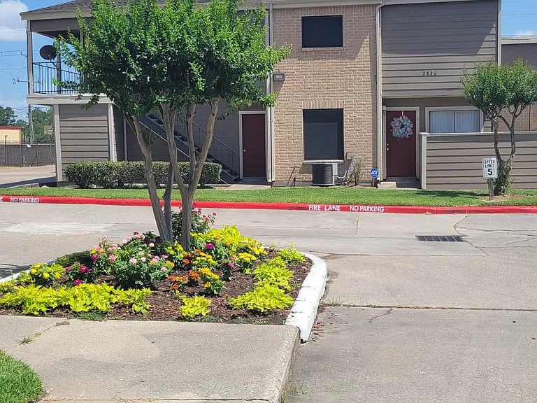 Trailing Vine Apartments — Photo 38