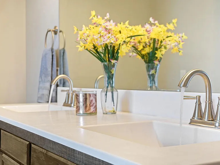 Master Bath Vanity