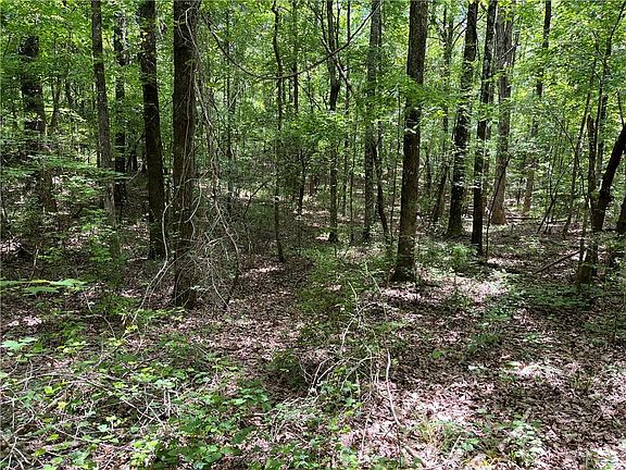 5th image of 0 Lee Road 333