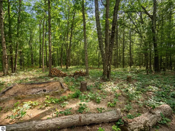 Lots 137 & 138 Tabor Ave, Interlochen, MI 49643