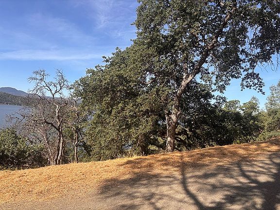 Poss. Lakeview Oak Tree Fort