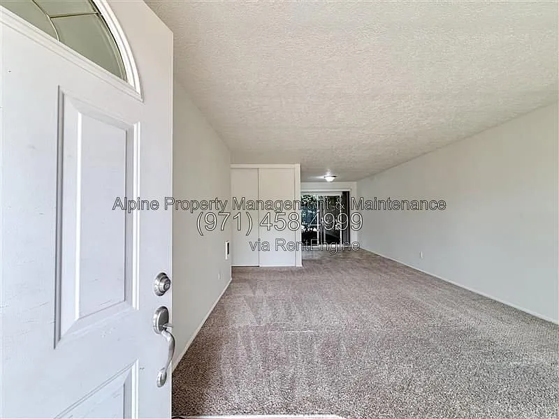 2 bed, 1.0 bath, 784 sqft, $1,550 — Photo 3